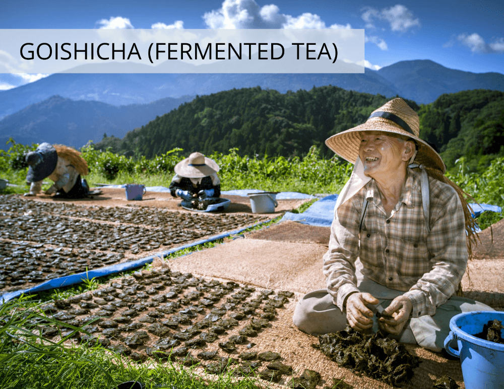 Goishicha (Fermented Tea) from Kokoro Care Packages