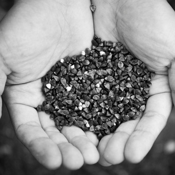 Sobacha (Buckwheat Tea) Kokoro Care Packages