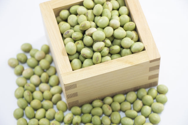 Edamame and Aodaizu: Investigating Japan's Soybeans