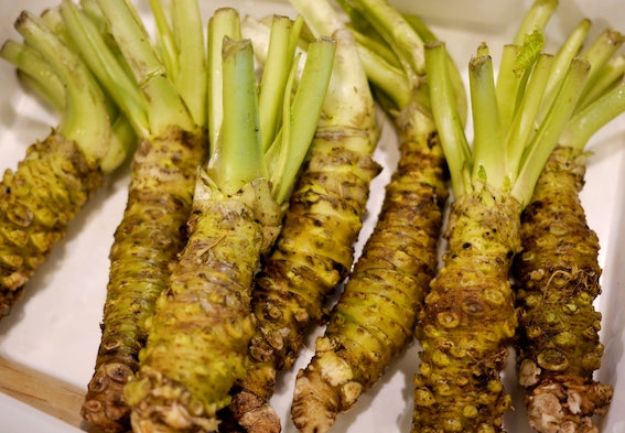 The Curious Case of Wasabi: Internationally Known Condiment Very Few Have Actually Tried