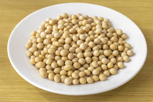 Soybeans: The Many Forms Found in Japan from Edamame to Tofu and More!