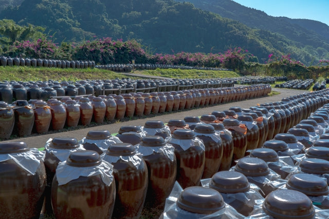 A Taste of Kurozu: The Healthy Japanese Vinegar Aged Like Fine Wine