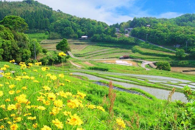 Rural Retreats: Exploring Farmstays in Japan