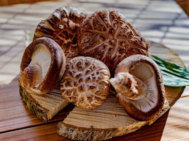 A History of the Shiitake Mushroom in Japan