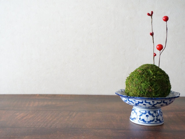 Kokedama: The Laid-Back Cousin of Bonsai