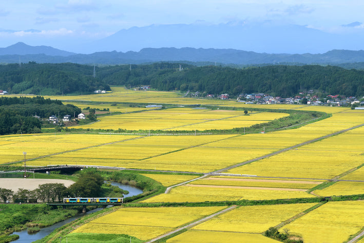 coexistence of human-made landscapes and the natural world.