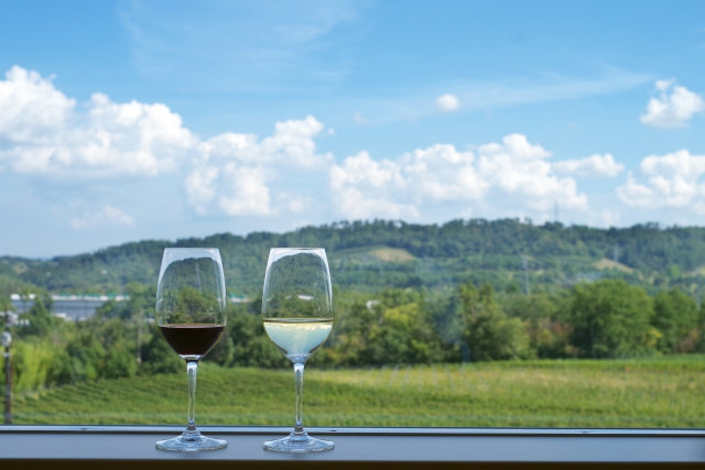 Guide to Japanese Wine