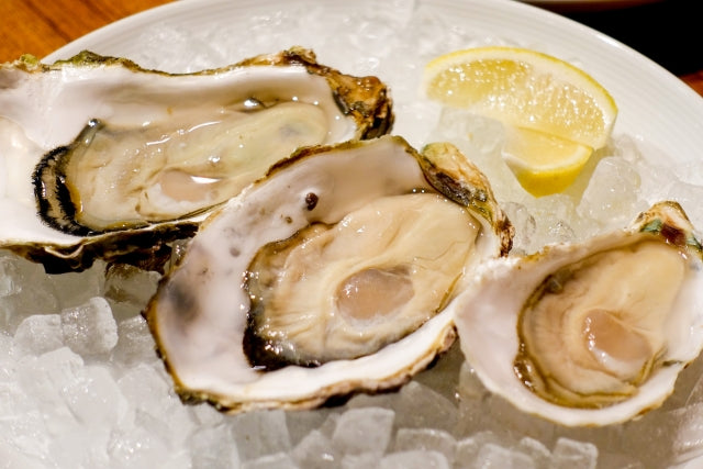 Japanese Oysters: Milk of the Sea