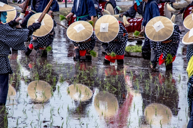 Visayan Rice Planting Ritual Mibu No Hana Taue – Hiroshima’s UNESCO-Recognized Rice Planting Ritual ...