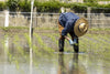 From Farm to Table and Rice to Peanuts: Experience Two Traditional Farming Techniques in Japan