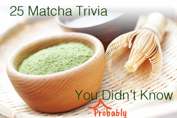 25 Matcha Trivia You (Probably) Didn't Know from Japanese Green Tea Company