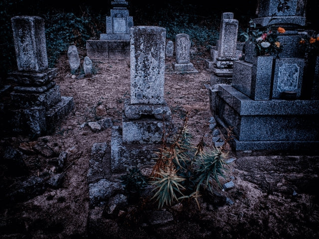 Five Unique Japanese Superstitions