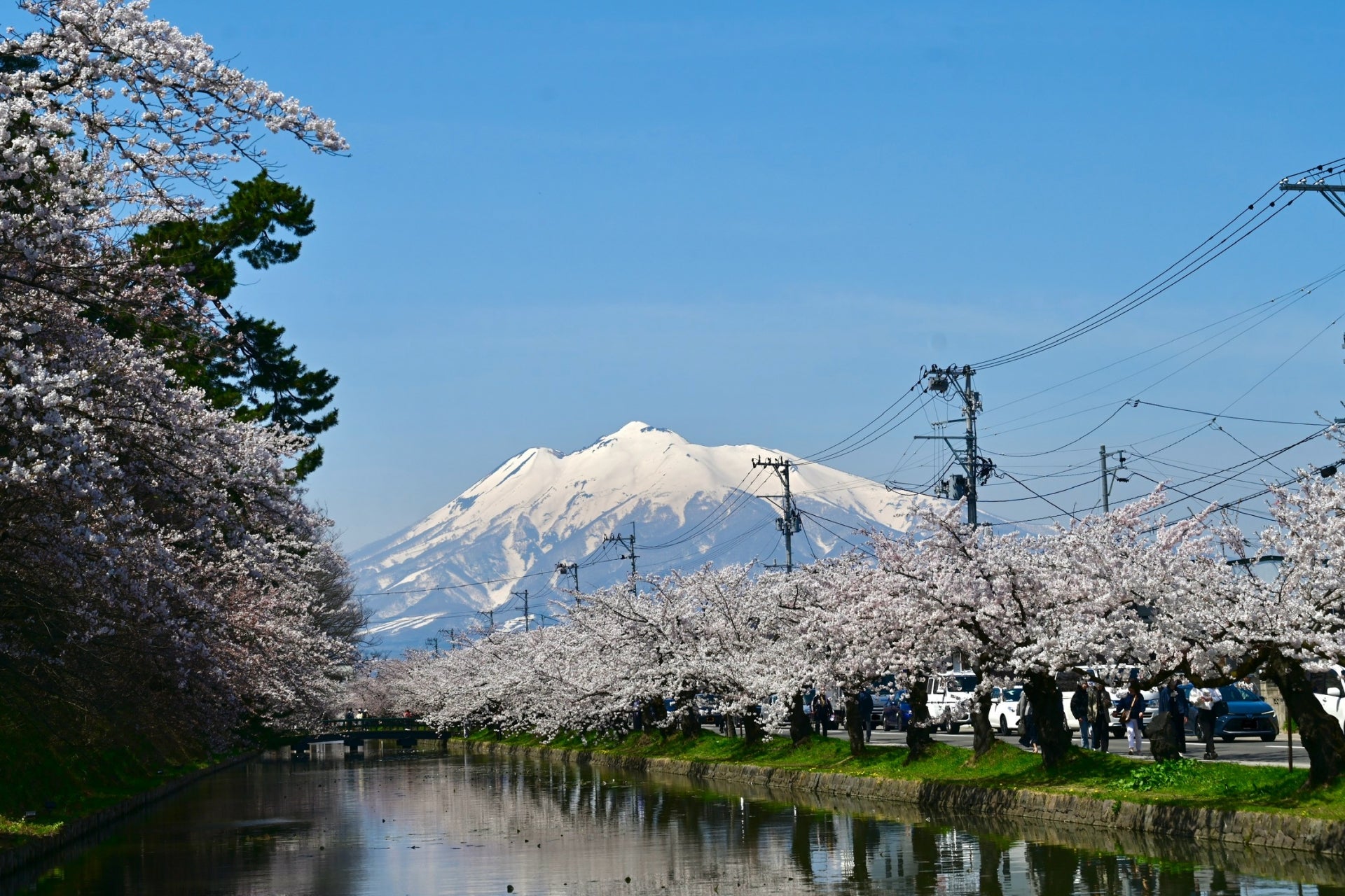 Hirosaki Park Sakura Views in Aomori Prefecture