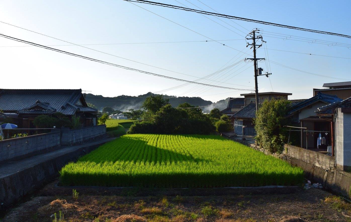 Can the Slow Life Catch Up? Japan’s Struggling Agricultural Industry