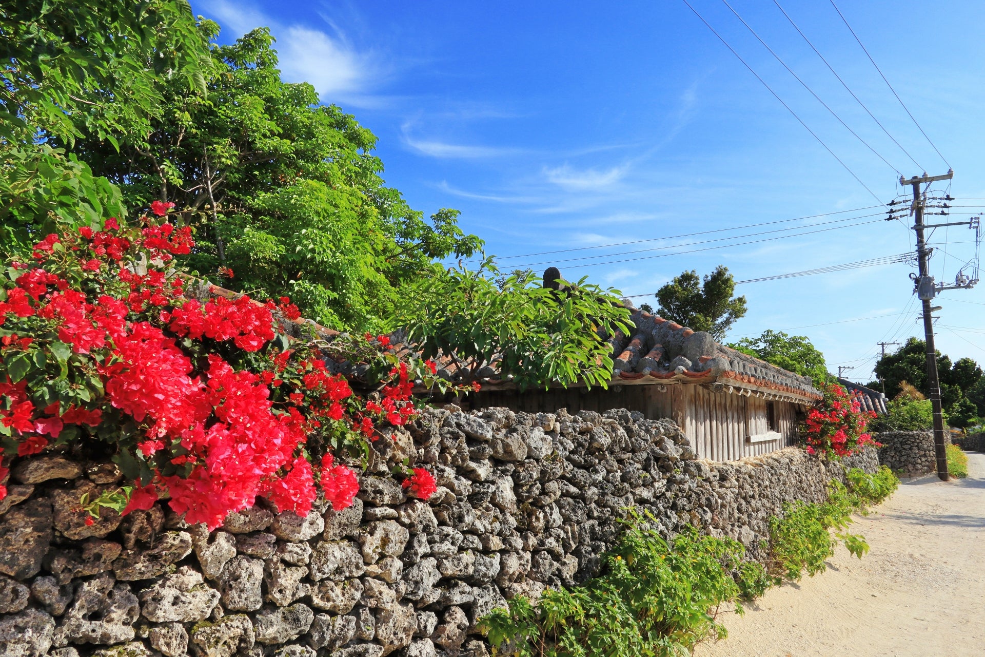 Okinawan Food Culture