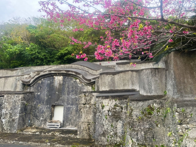 Learn about Okinawa's unique way of celebrating ancestors through Kyuubon (Okinawan Obon).