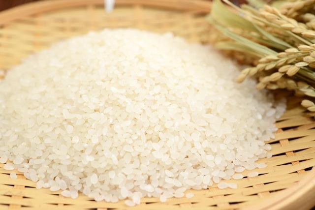 Tips for Storing Rice