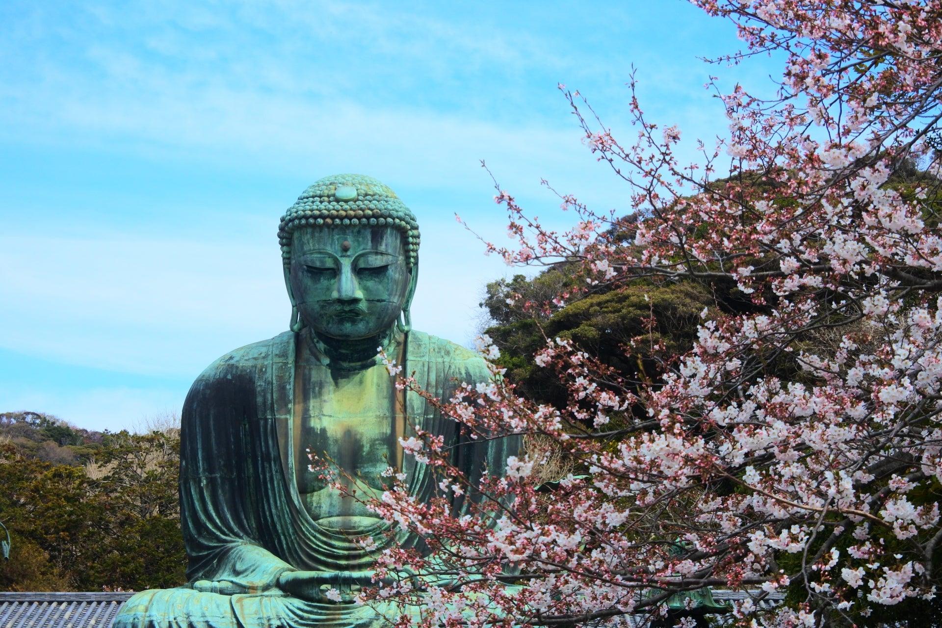 Kamakura Daibutsu (great Buddha) in Kanagawa Prefecture