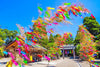 Japanese Tanabata Festival