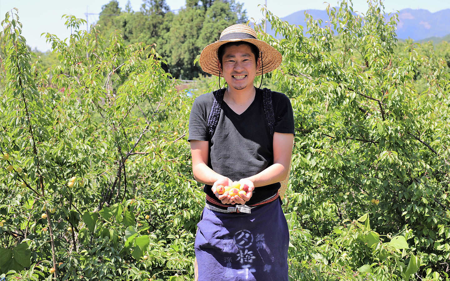 PRODUCER SPOTLIGHT: Yasashi Ume Yasan - Old-fashion, Organic Umeboshi (Pickled Plum)