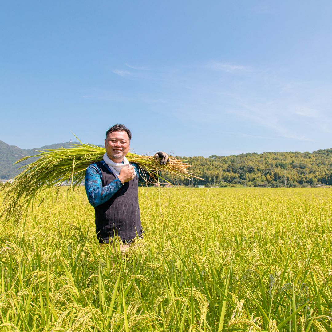 Organic Brown Rice 