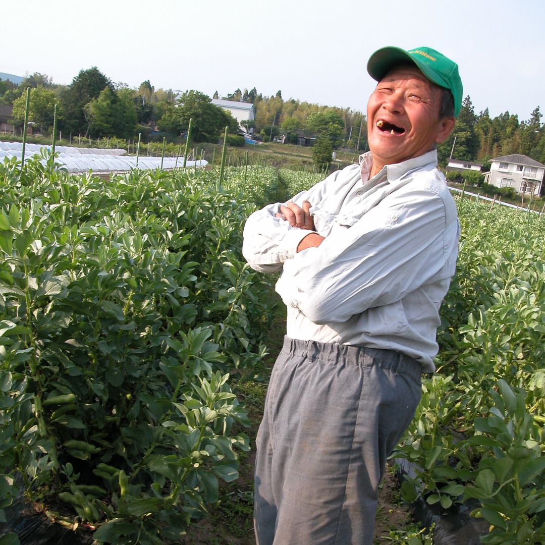 Organic Burdock Tea