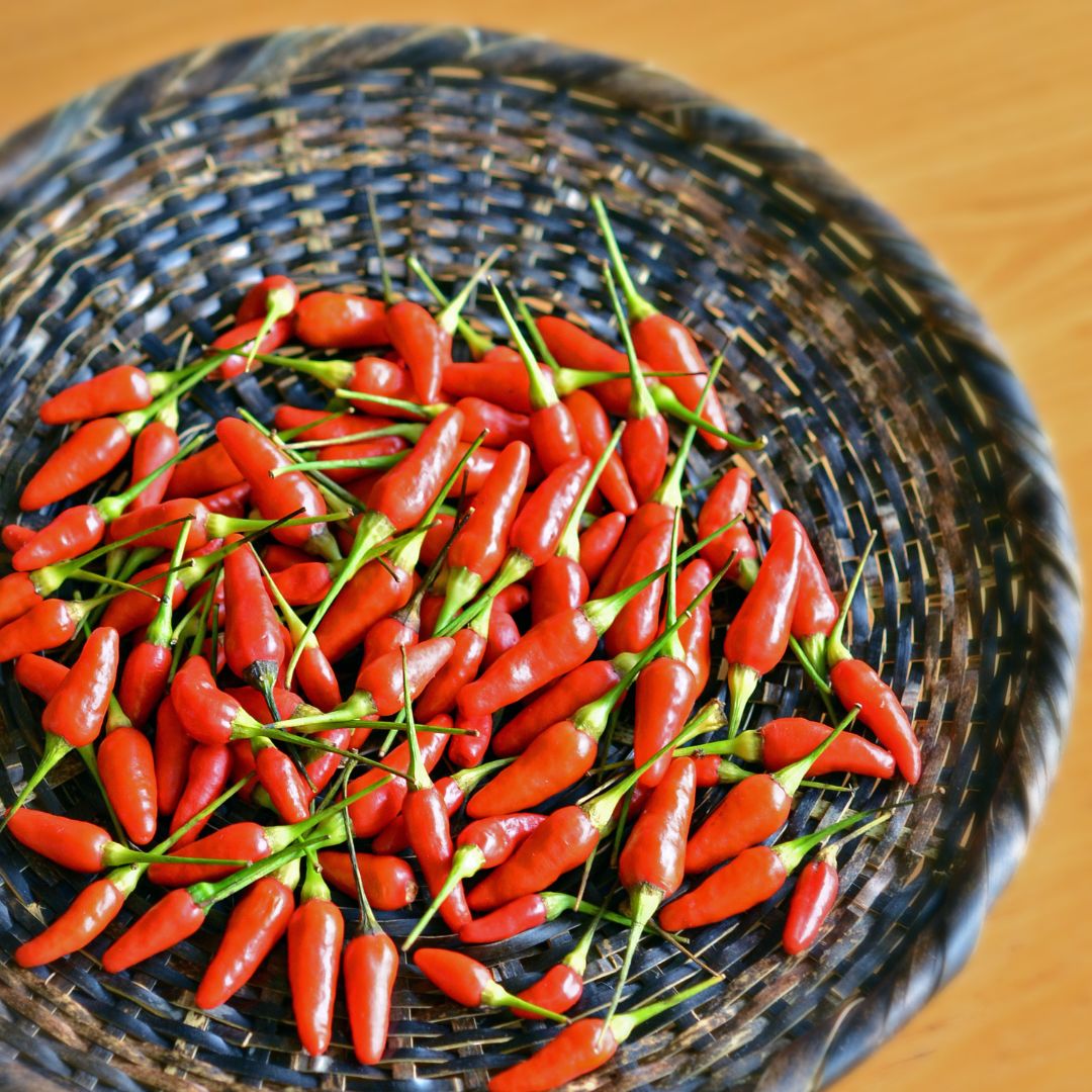 Awamori Chili Paste