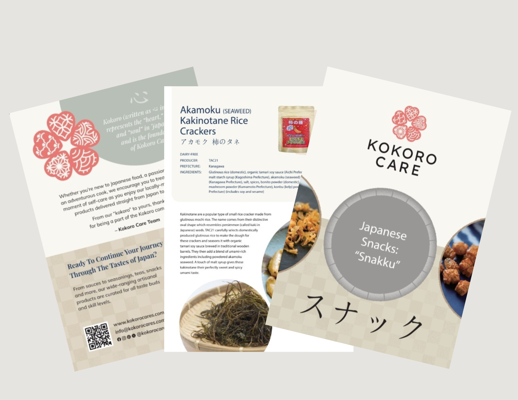 Japanese Snacks: Salty & Savory “Snakku” Package