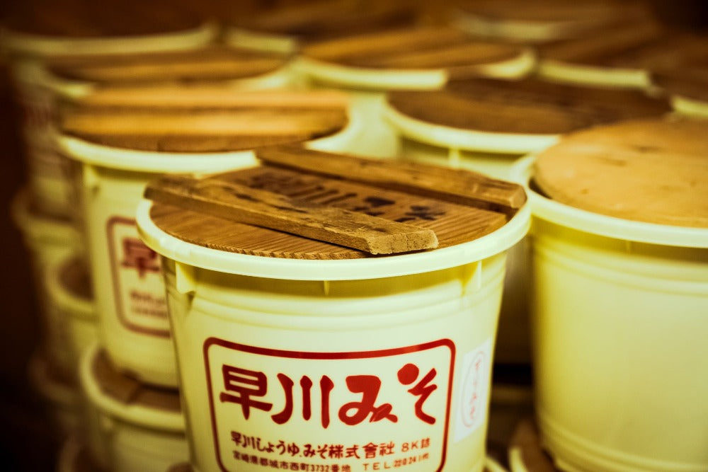 Yuzu Miso Powder