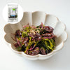 Hokkaido Seaweed Salad