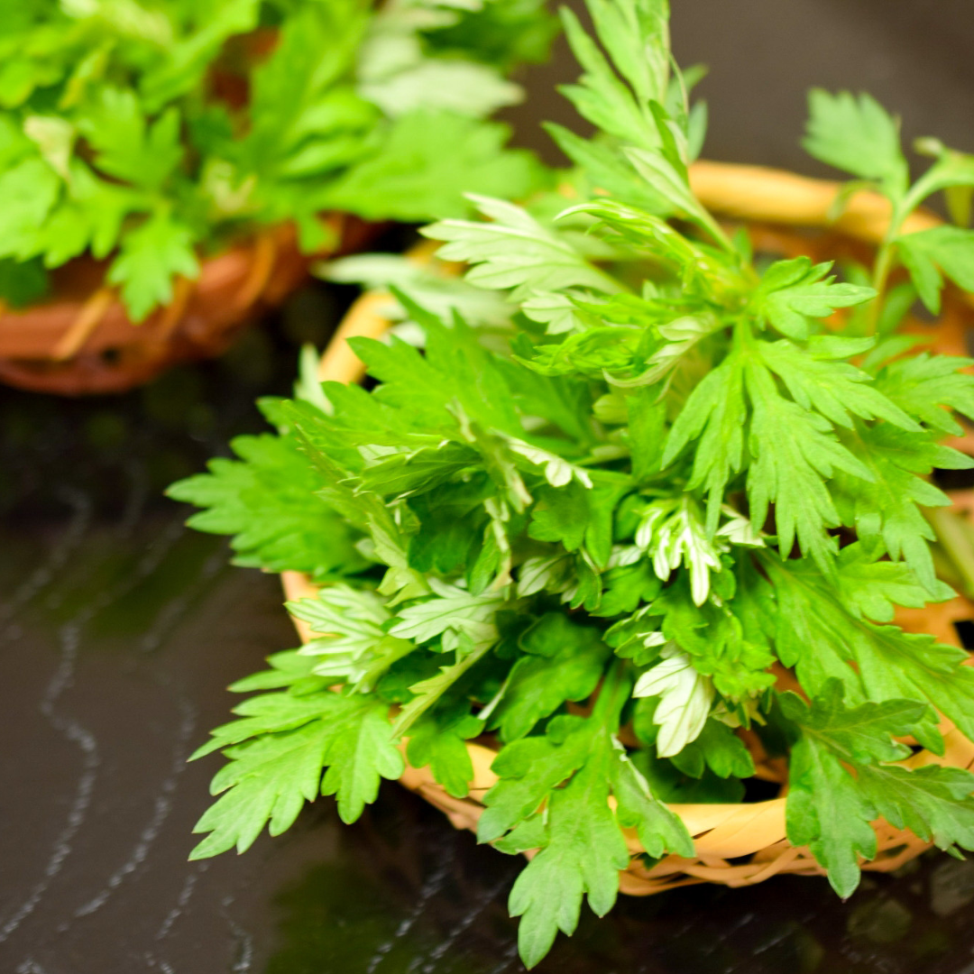 Yomogi (Mugwort) Powder