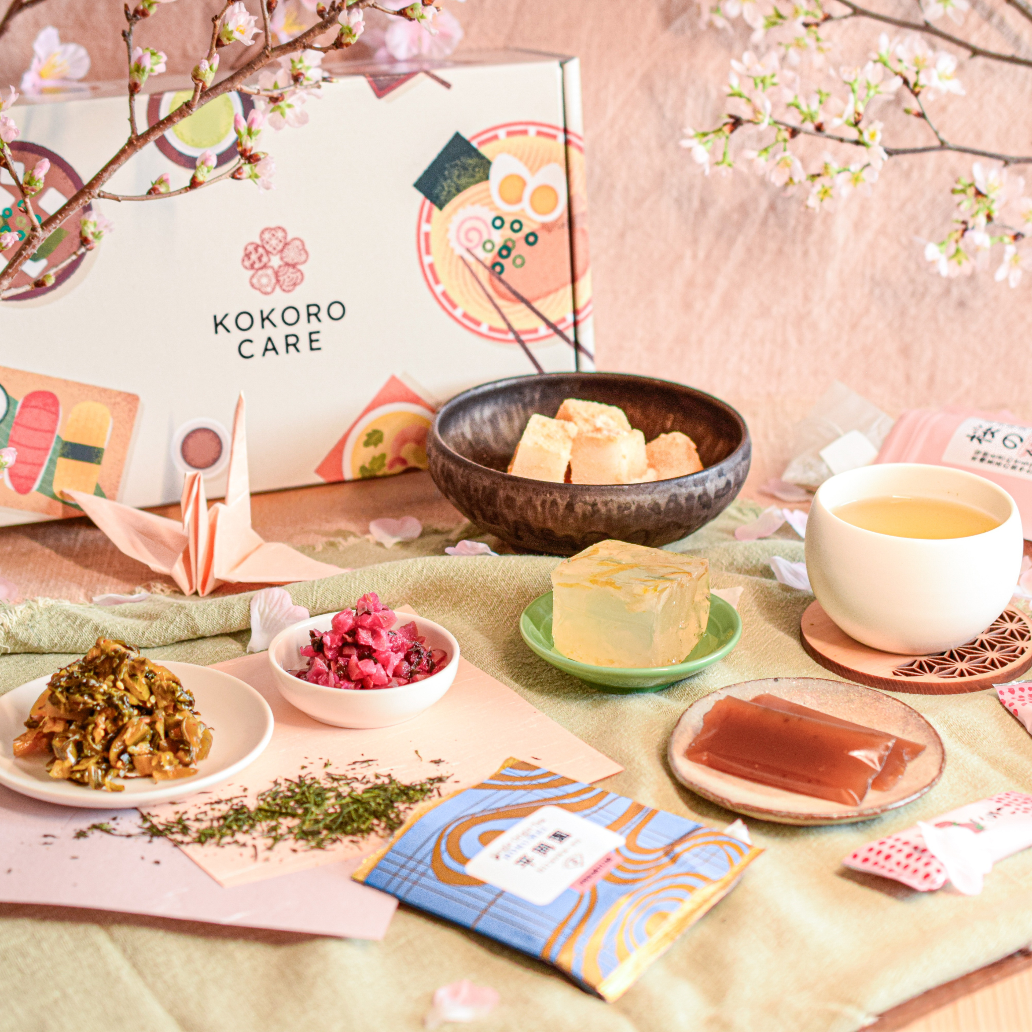 Seasonal Package (2026 Spring)