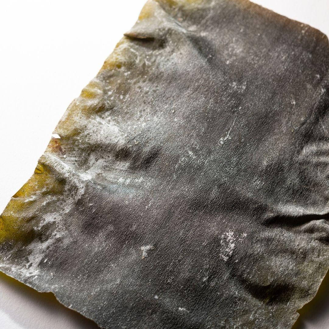 KONBU DASHI (真昆布)