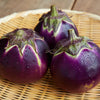 YUASA EGGPLANT CURRY (湯浅なすカレー)