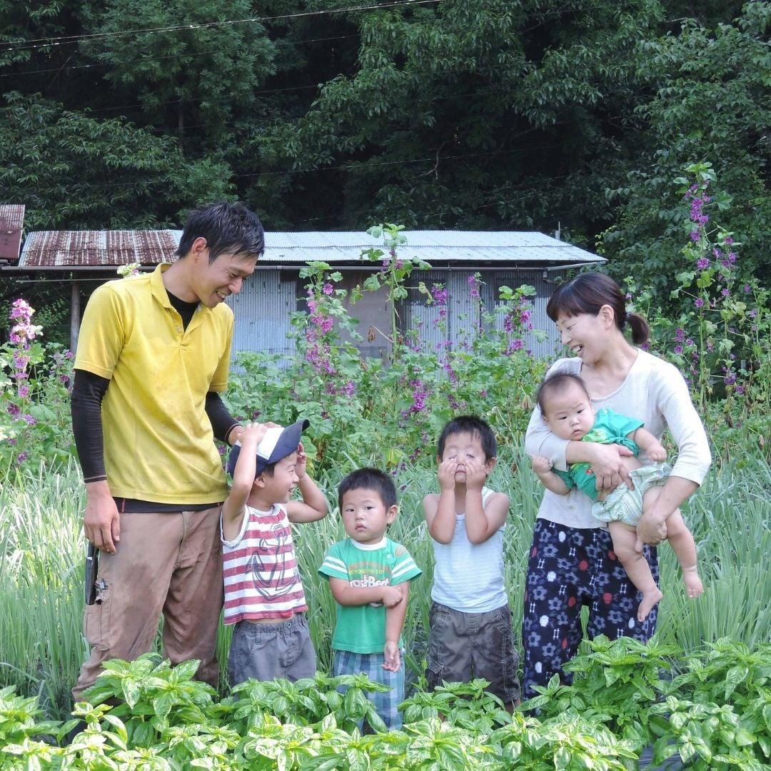 RED SHISO SYRUP