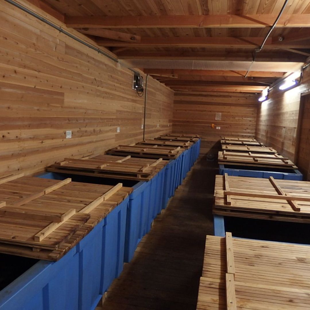 TAJIMA'S RED VINEGAR (AKAZU) (但馬の赤酢 )