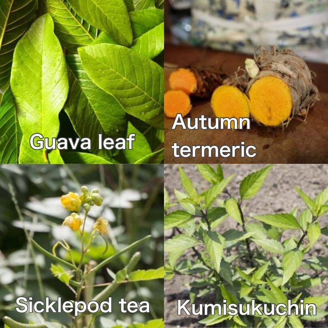 RYUKYU OKINAWA TEA BLEND (琉球の香り)