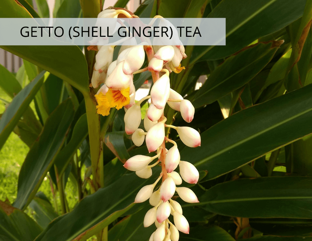 Getto (Shell Ginger) Tea from Kokoro Care Packages