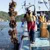 KESENNUMA BAY OYSTER SAUCE (気仙沼完熟牡蠣のオイスターソース)