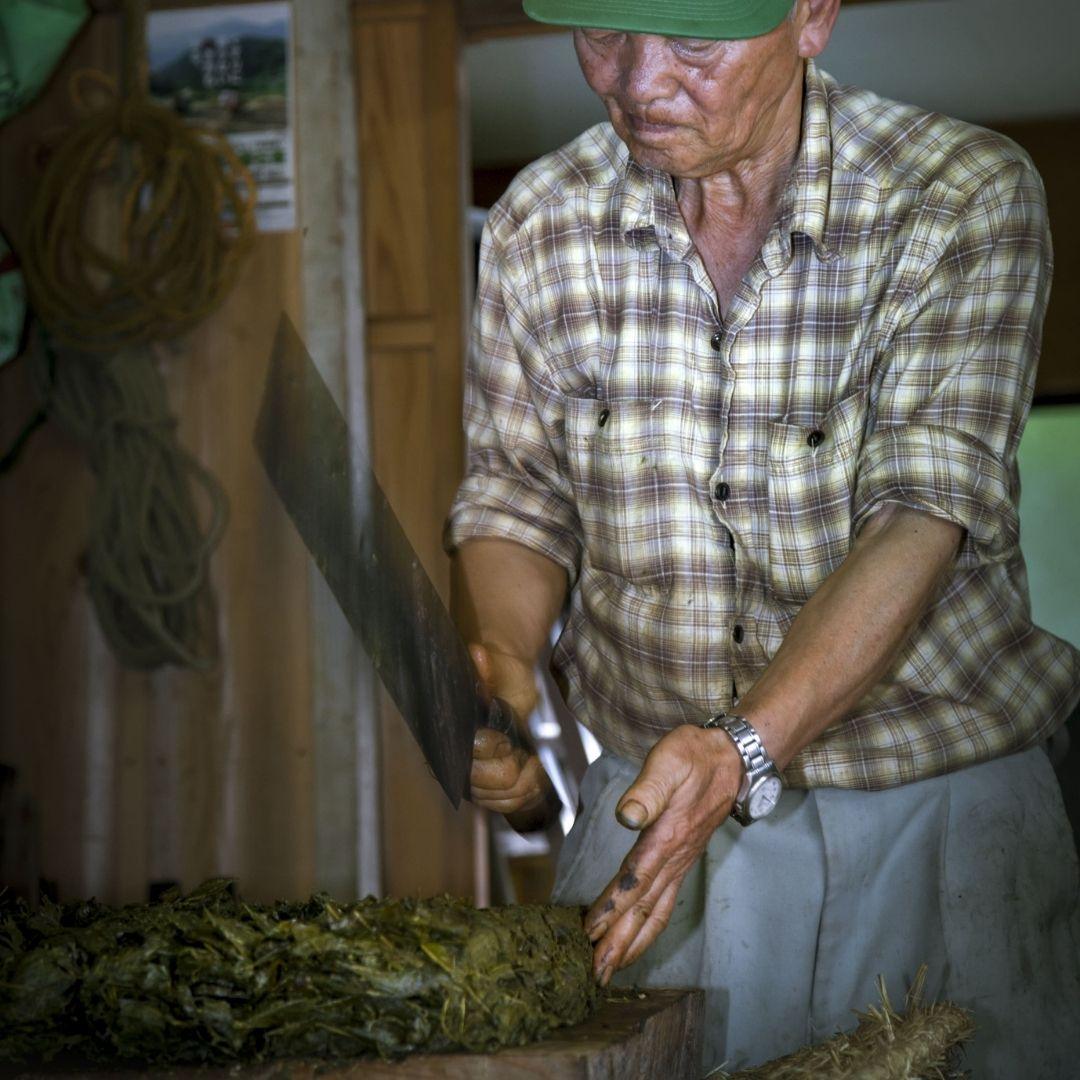 GOISHICHA (FERMENTED TEA) (碁石茶)